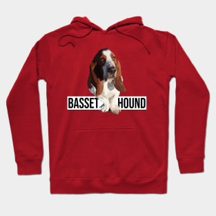 Basset Hound Hoodie